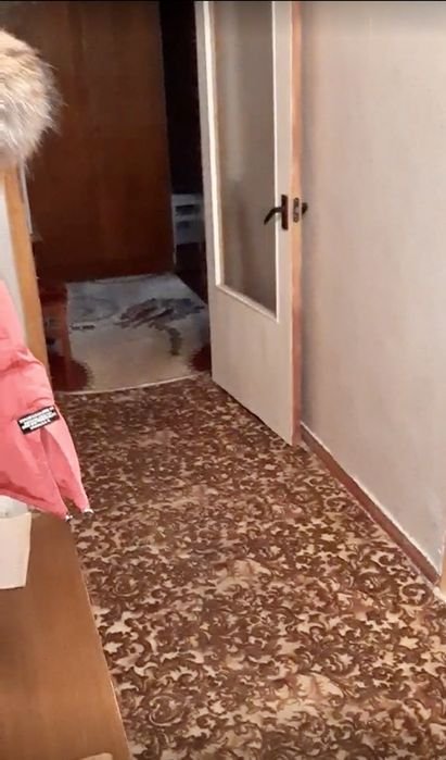 Оренда 2-к Вишенка 600-річчя 4500грн - фото 4